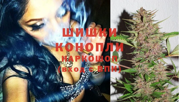 гидропоника Бронницы