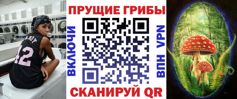 Псилоцибиновые грибы GOLDEN TEACHER  Ельня 